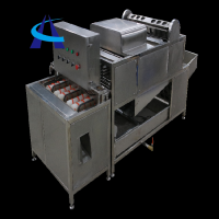 Automatic  boiled egg peeling processing plant