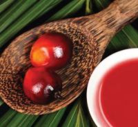 Palm Oil