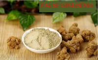 False Gingseng