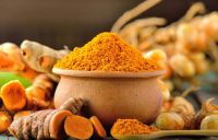 SUPPLIER FRESH/DRIED/POWDER TURMERIC - GOOD PRICE