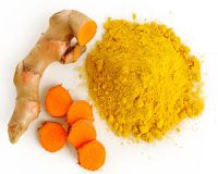 Turmeric Powder Organic Wholesale Manufacturer