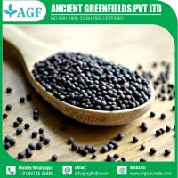 Organic Mustard Seeds Wholesale Supply