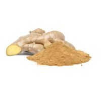 Natural Organic Dry Ginger Powder Bulk Supplier