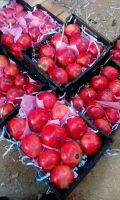 Fresh Pomegranates