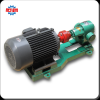 Hengbiao 2000mm2/s viscous fluid pulley driven gear pump