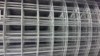 Welded Wire Mesh/Galvanized Welded Wire Mesh