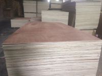 Plywood for packing industry