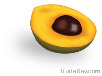 Lucuma Fruit Powder Organic