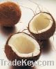 Coconut Milk Powder