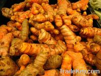 Tumeric Powder, Extract, Plant Extract, Organic