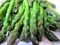 Asparagus Powder, Extract, Concentrate, Juice Powder