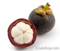 Mangosteen Powder, Extract, Concentrate, Capsules, Juice Powder, Fruit