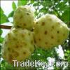 Organic Noni Fruit Powder