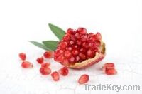 Pomegranate Plant Extract 40% Ellagic Acid