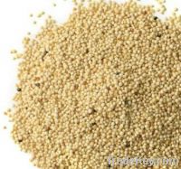 Amaranth Powder, Organic, Seed Powder