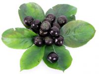 Aronia Juice Concentrate