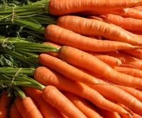 Organic Carrot Juice Powder