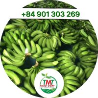 FRESH CAVENDISH BANANA