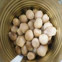 Canned straw mushroom