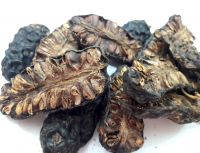 Dried noni fruit