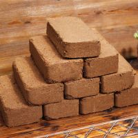 Coco Peat Block