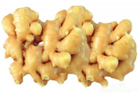 CHINESE FRESH GINGER WHITH HIGH QUALITY