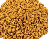 FENUGREEK SEED