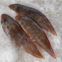 Petrale Sole , Dover Sole , English Sole, Food & Beverage, Seafood, Fish