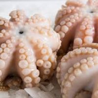 Fresh Octopus , FROZEN BABY OCTOPUS