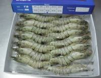 Frozen Black Tiger Shrimps/ Frozen King Prawns/White Shrimps