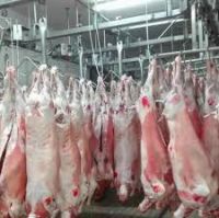 Halal Frozen Lamb/ Sheep/ Mutton Meat...
