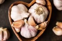 FRESH GARLIC