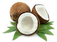 COCONUT EXPORT