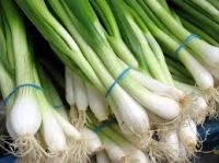 Fresh Scallions