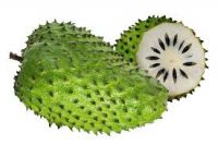 FRESH SOURSOP