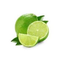 FRESH LEMON, SEEDLESS LEMON, FRESH LIME, ADALIA, VERNA, CITRUS FRUITS, ORANGES, MANDARIN, TANGERINE, NAVAL