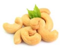 raw/roasted Dried Cashew Nuts best price fresh w 240 cashew nuts