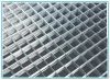 Sell Galvanized welded wire mesh