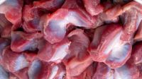 Frozen Chicken Gizzard