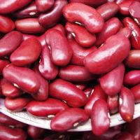 Dark Red Kidney Bean