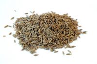 Cumin Seeds (Jeera)