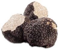 Truffle