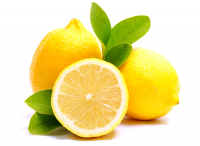 FRESH LEMON FRUIT