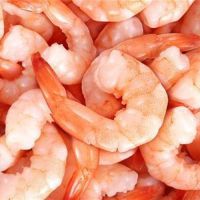 FROZEN SHRIMPS/ PRAWN