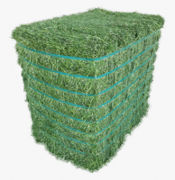 Alfalfa Hay for Animal Feed at wholesale price Alfalfa Hay