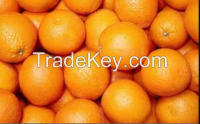 Fresh Oranges