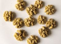 Sell walnuts  kernel