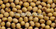 SOYBEANS FOR SALE