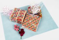 Clear Gift Wrapping Paper / Gift Packaging DESIGNWRAP