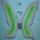 Sell butterfly wing BW-0002